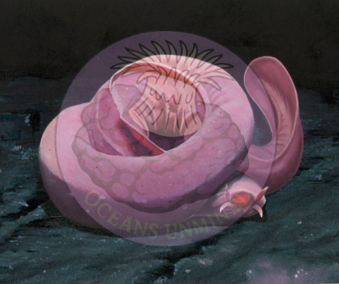 Ocean Conservation Art 1